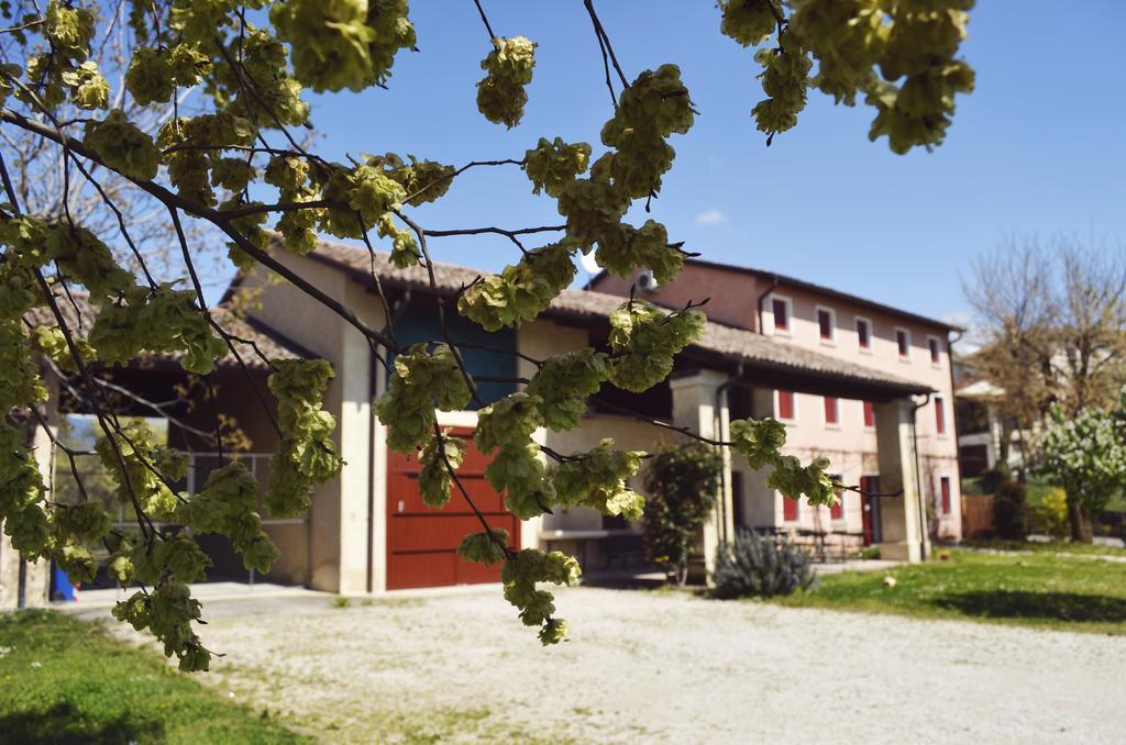 Agriturismo Ca Roer San Zenone 外观 照片